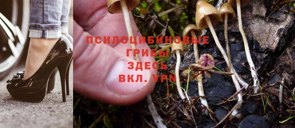 прущие крисы Алзамай