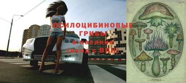 прущие крисы Алзамай