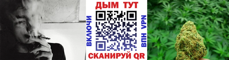 Бошки Шишки AK-47  закладки  mega tor  Алексеевка 